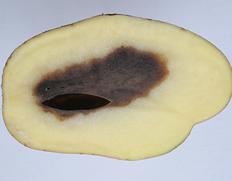 a potato with a face drawn on it